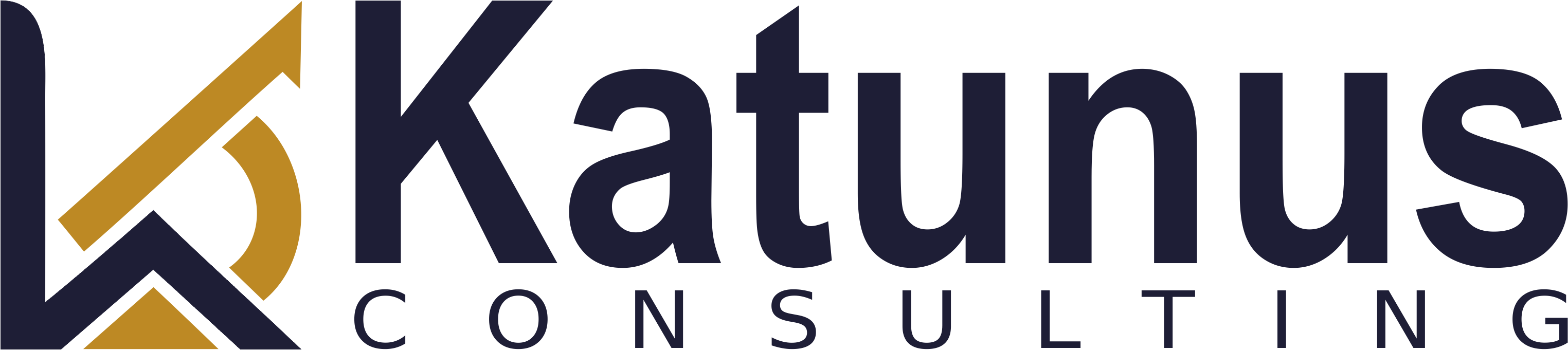 Katunus Consulting